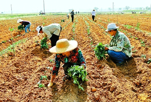 ϵִԥҵרҵԱԺ硣س20ңʵдءӹһ񣬺ȫء