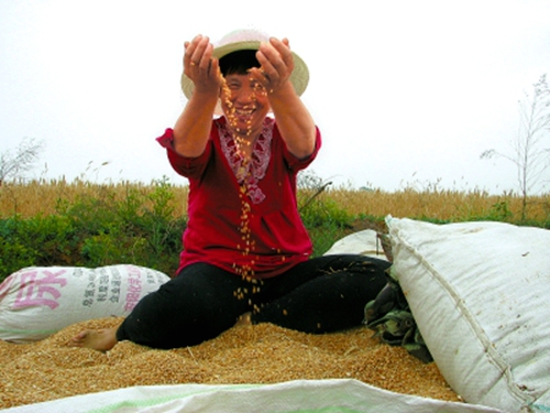 ��������������С������