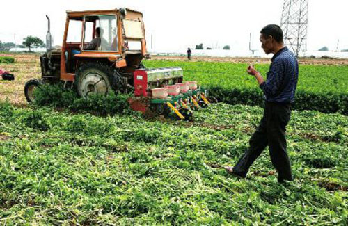 200Ķ۲ 4ëһﶼûҪ