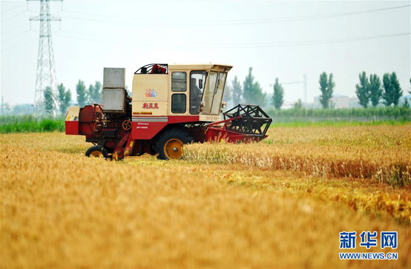 611գոںӱʡƤŲ塰֡ʾոС