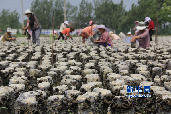 611գںʡڻ̻ݾҵֲأũɹľ