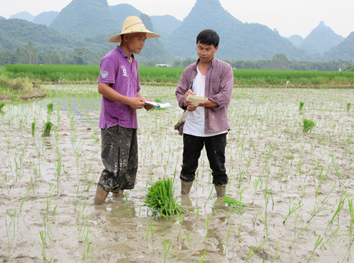 ˮ㾬Ŵᴿ׳ڶ׶˳չ