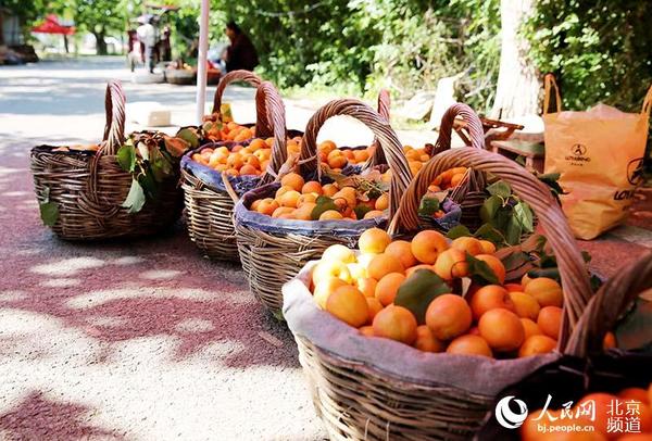 ƽȱկӽժ ΪΩһԹƷ