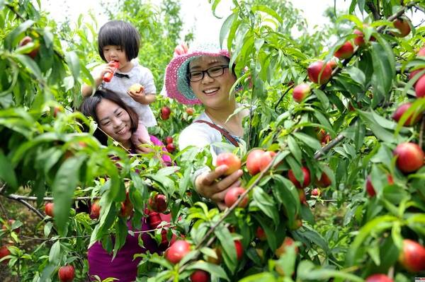 615գһλĸ״źɽʡ۰ͷɣׯժҡ