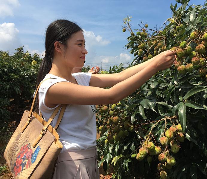 ɽֵ֦4ڶԪ Ϊũ¸һҪҵ