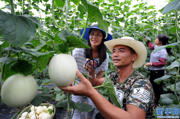 617գ㽭ũȨУƷңڳаĶͿֲĹϹϲա