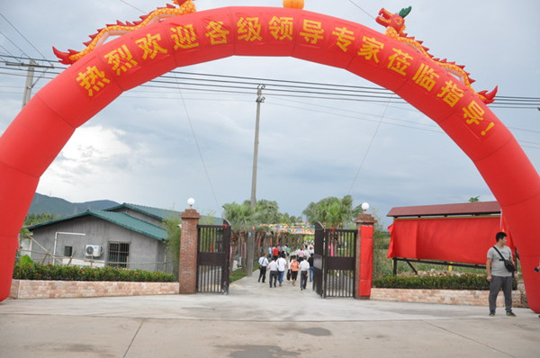 㶫мӿƼ ƶִũҵ·չ