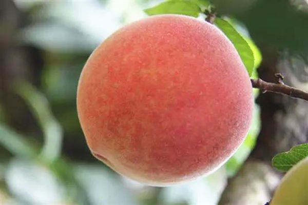 ޵ʵʩһһءҵչƶ׼ƶ