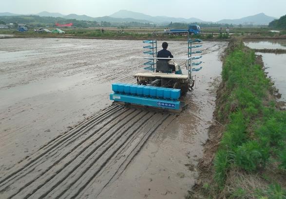 ®ذ׺򣺻Яͻˮֲе̰塱