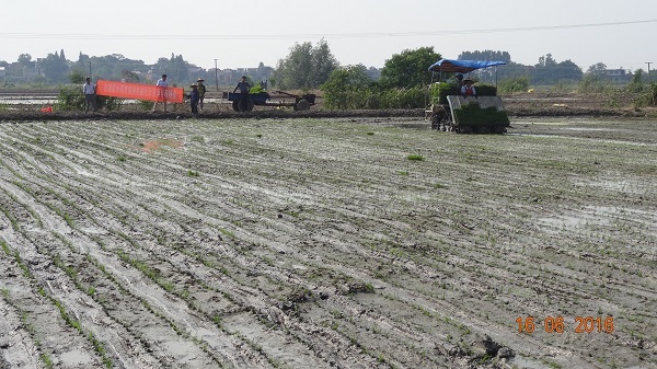 ®ذ׺򣺻Яͻˮֲе̰塱