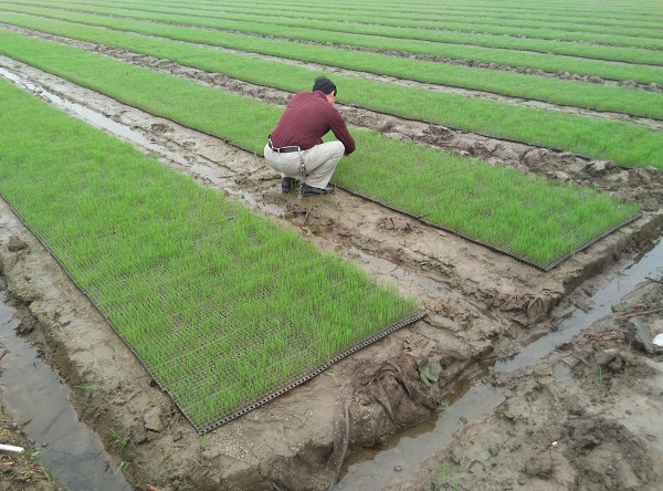 ®ذ׺򣺻Яͻˮֲе̰塱