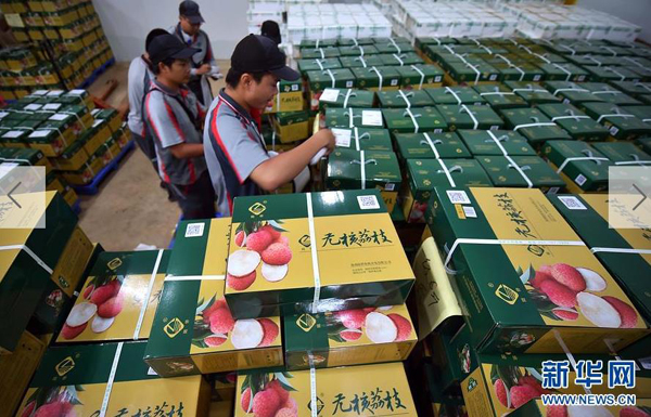 6月23日,快递工人在澄迈陆桥无核荔枝产业园取货,准备发往全国各地。
