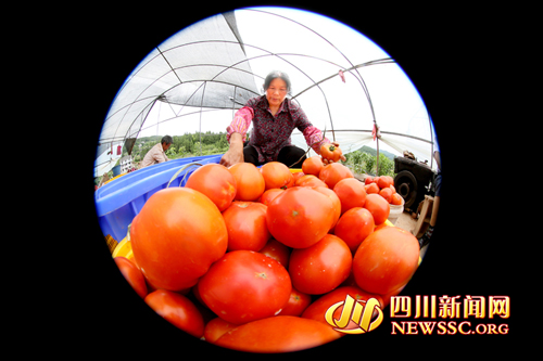 624磬߲˻ڷּղժµ