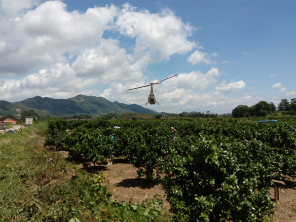 أʵʩֱҩͳͳ ٲҵɫ