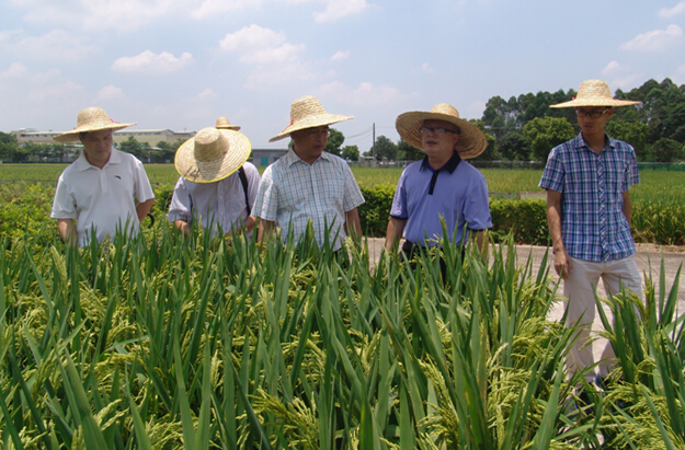 㶫лũƷչʾʾʡ쵼רһº