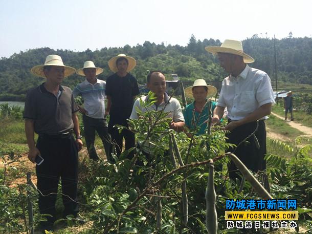 ͼΪǸʼܹʦʤһʮɽȺڿչţ־Ʒ걨С