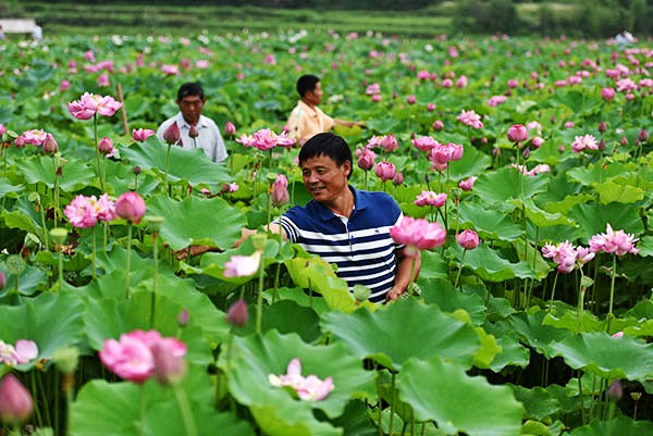 �����°��أ���չ��ɫ��ҵ ʵ�־�׼��ƶ