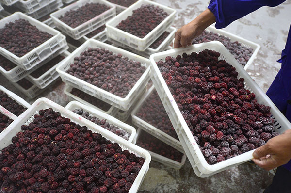 623գʡݮ縺֮һŹݮ붳