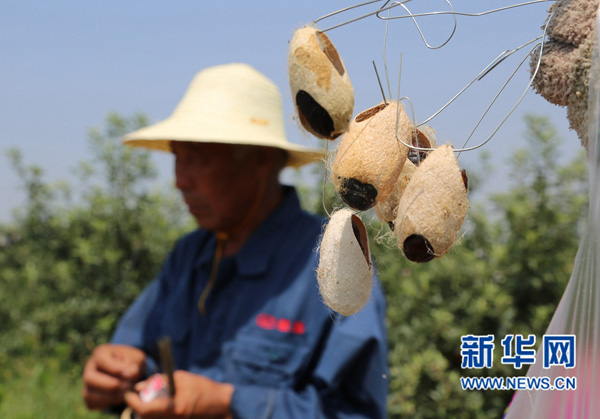 628գũҵƼ̬԰ԱҰ׶СӼ