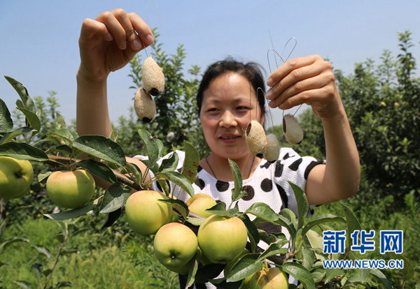 628գҵɭַμվķԱΪع԰ԱʾҰ׶СӼ