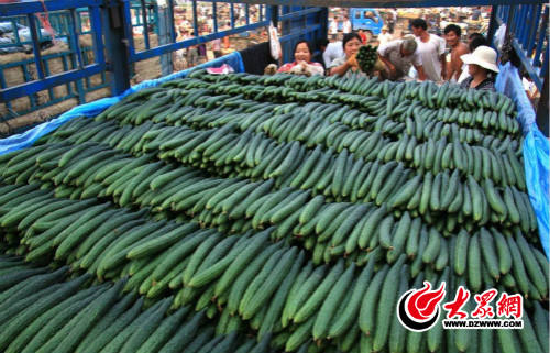 ƹĶ7ɽϻƹϴ߼¼