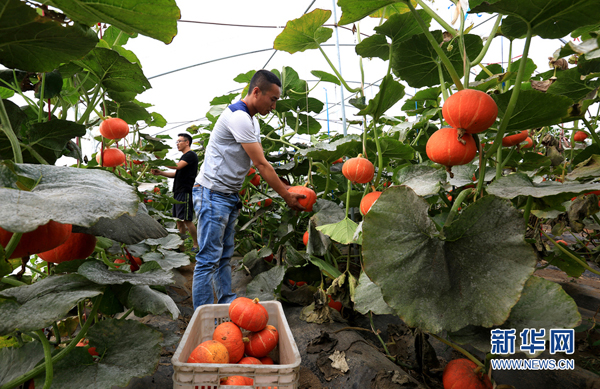 ¸ׯũůСϡãϲա