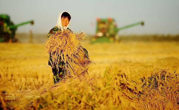 ӱСչִԤ չÿ1.18Ԫ