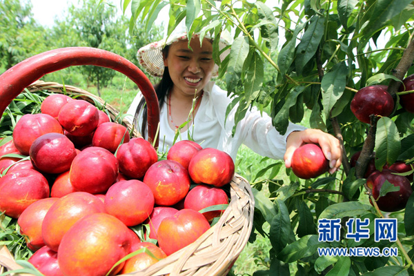 71գο۳ũҵ޹˾ժҡ