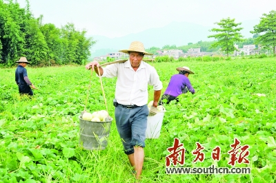 㶫̫ƽϲժտĻ ֳԳժ 8