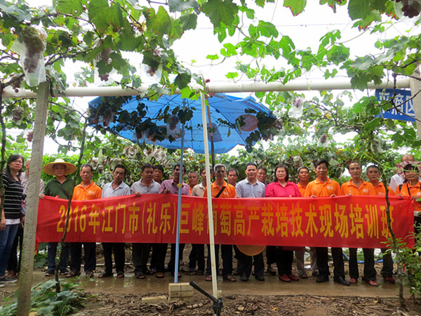 㶫ֲ֯ǰ麣ȡ޷Ѹ߲༼