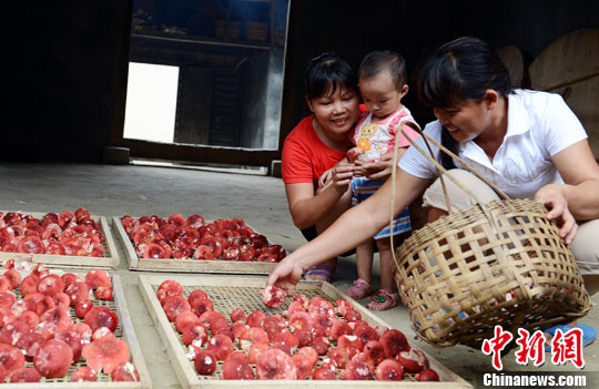 6ѮֱĴ񽫲ժصĺ׵̯׼ɳۡ