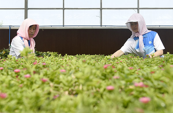 74գԭ¡ũҵҵʾ԰ڣΪԳݡ