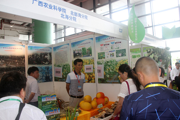 ũԺԺƼɹڹڶƼɹչʾԽӻϲչ