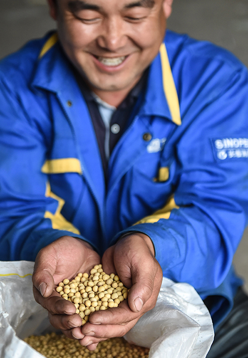 7月5日,吉林省敦化市新立瑞丰家庭农场“场主”张朋波在仓库内展示当地特产高蛋白大豆。