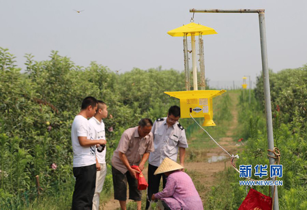 76գƽɽбɭԱں3000Ķ̬Ƽ԰װƵʽơ