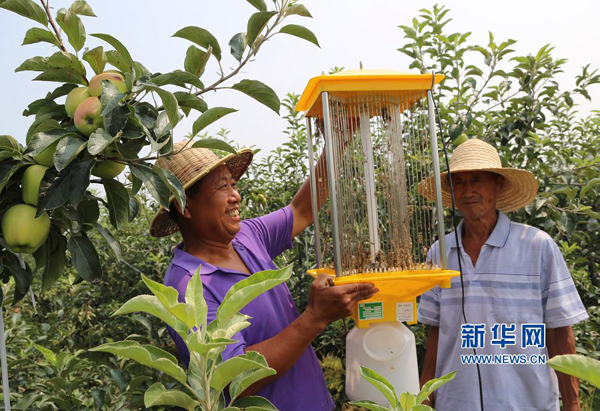 76գƽɽбɭԱں3000Ķ̬Ƽ԰װƵʽơ