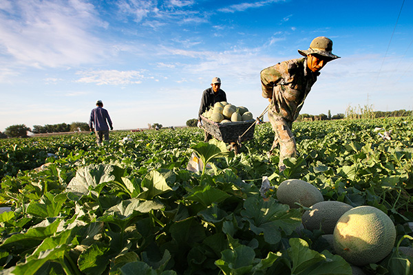 77գ½Ϻũڰ˲ժ׼˵ʹܹϡ