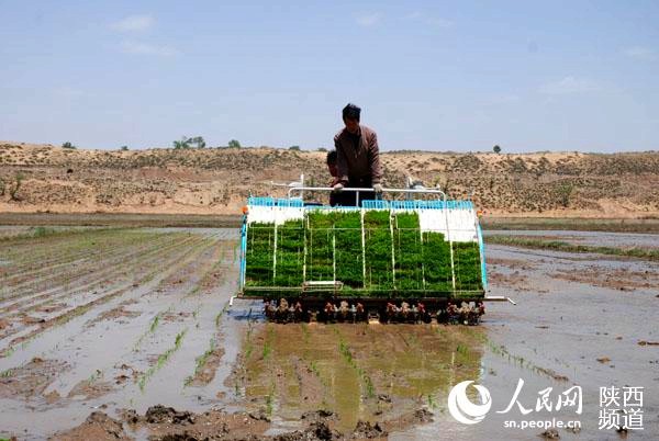 תġɽģʽũҵչ˼·