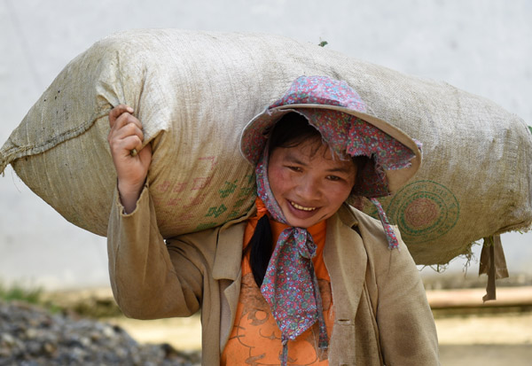 7月8日,在广西环江毛南族自治县长美乡长美社区,一名村民扛着刚刚摘好的桑叶回家喂蚕。