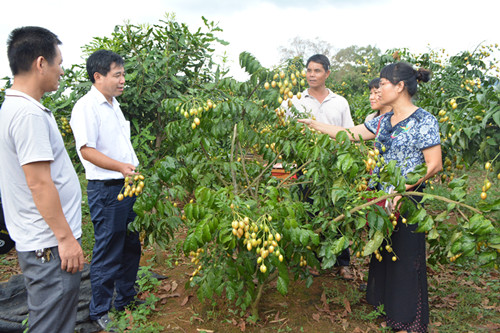 ũҵˮרһƽƽһڻָ