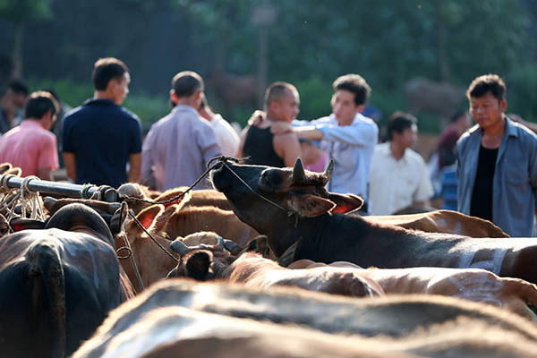 710գڹʡйƺţнģţȺѡ̸