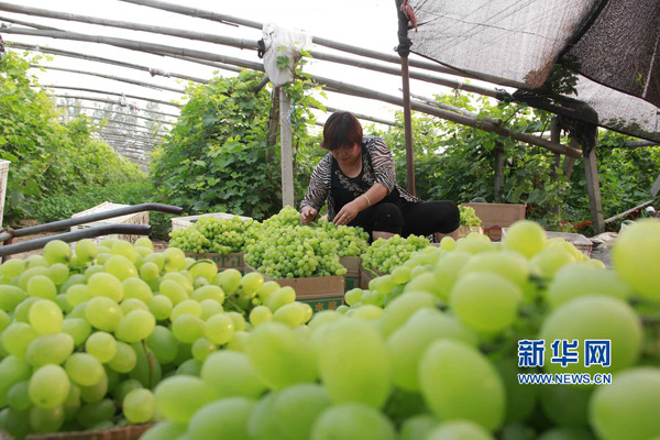 712գӵ㹤ںʡڻسǹׯ԰ժѡ