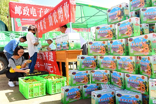 7月12日,在东乡县唐汪镇,游客在邮政快递寄送便民点寄送杏子。