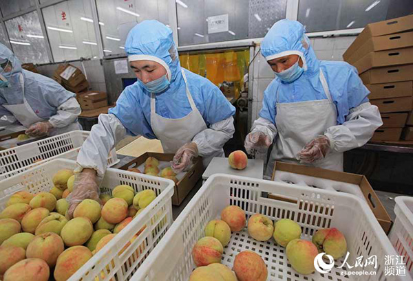 ڴ䶳ʳƷ޹˾Աӽɸѡ