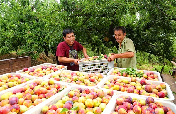 713գ¬ضμҹĹũղժװ