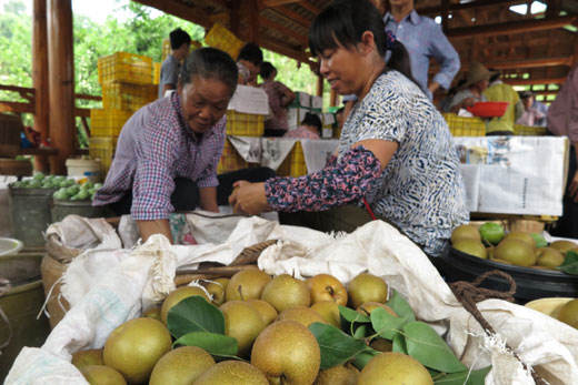 710գڹ½򽭿ڴ壬ũڷּװղժѩ档