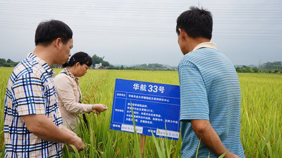 㶫лݳũٰ2016꺽ˮƷֳĦ