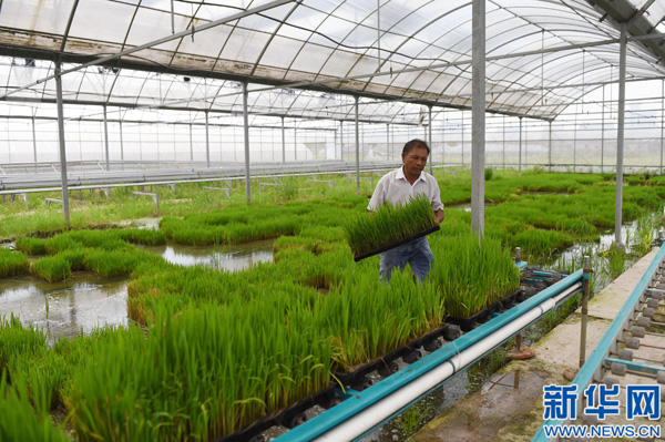 7��14�գ���������ɽ����ũɳ����ɫ��Ʒ�Ϲ��߲����鳡��Ա�������������ڽ����̰����綯�����豸�ϡ����ﶥ��̫���ܹ���������ĵ磬�����ܹ�����������ʹ�ã�����Ļ������������ҵ�����