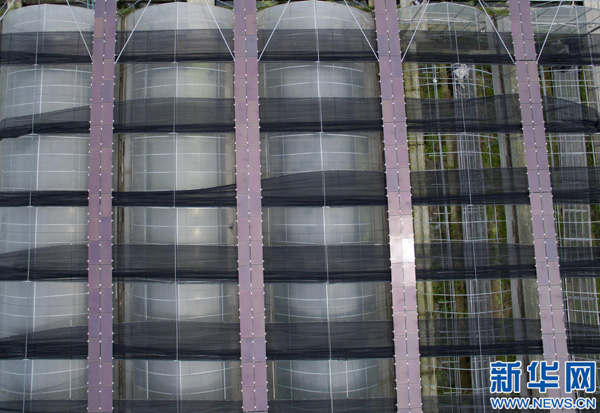 ��������ɽ����ũɳ����ɫ��Ʒ�Ϲ��߲����鳡�������ﶥ�ϵĹ���豸��7��14���㣩��