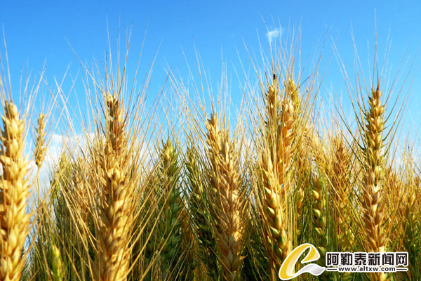 �½����ͺ���5.67��ĶС����ϲ�˷�������